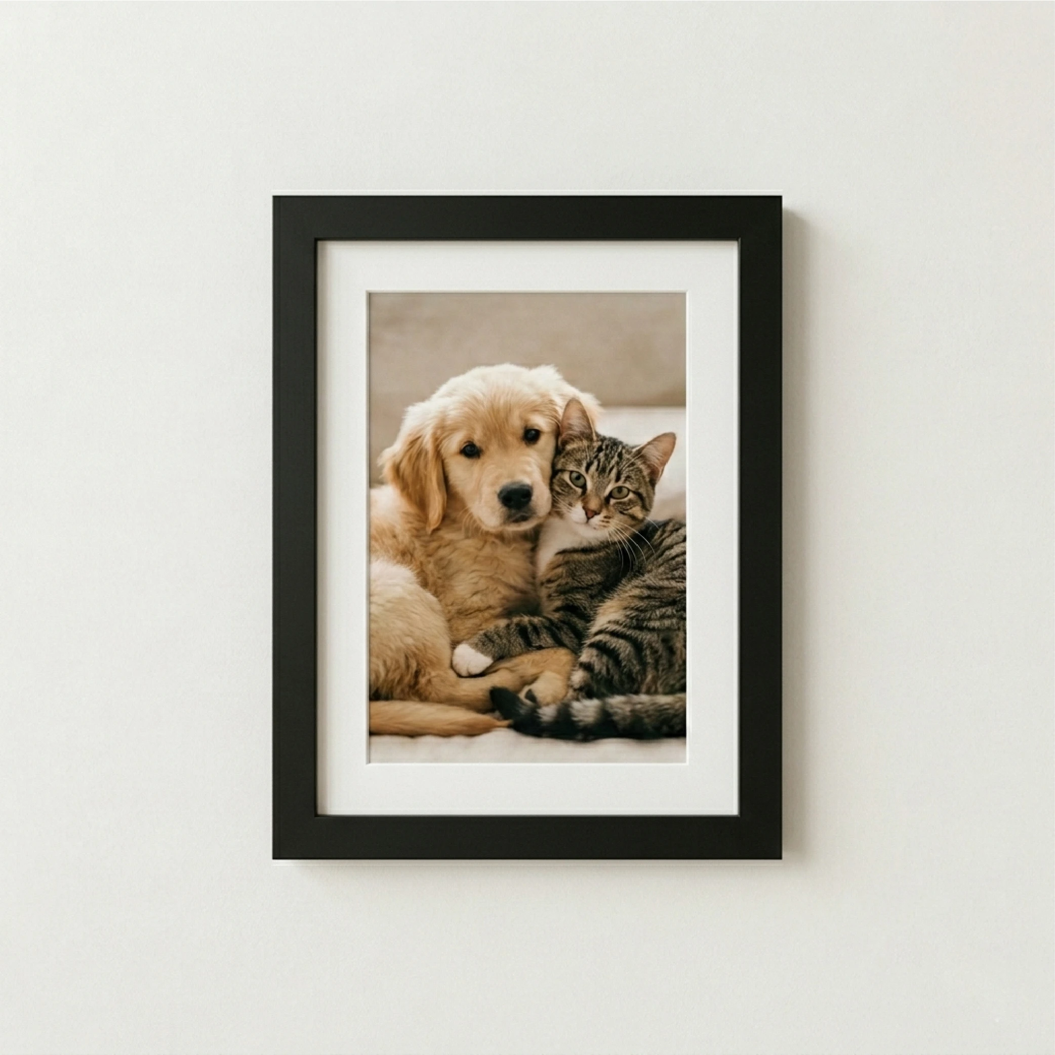 Photo Frames A4 – Laminated Print (21 cm × 29.7 cm)